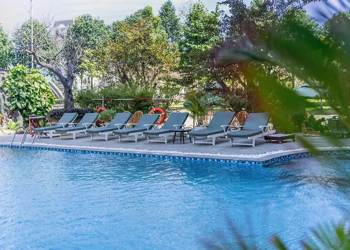 Hotel The Palms